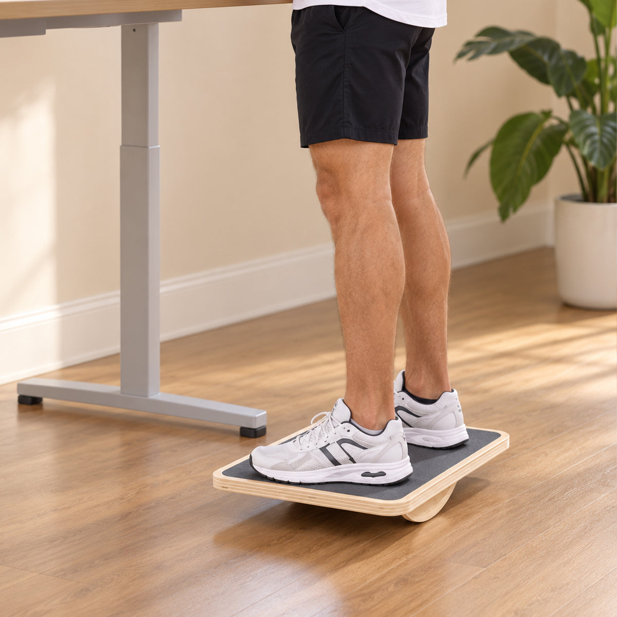 Balance Board